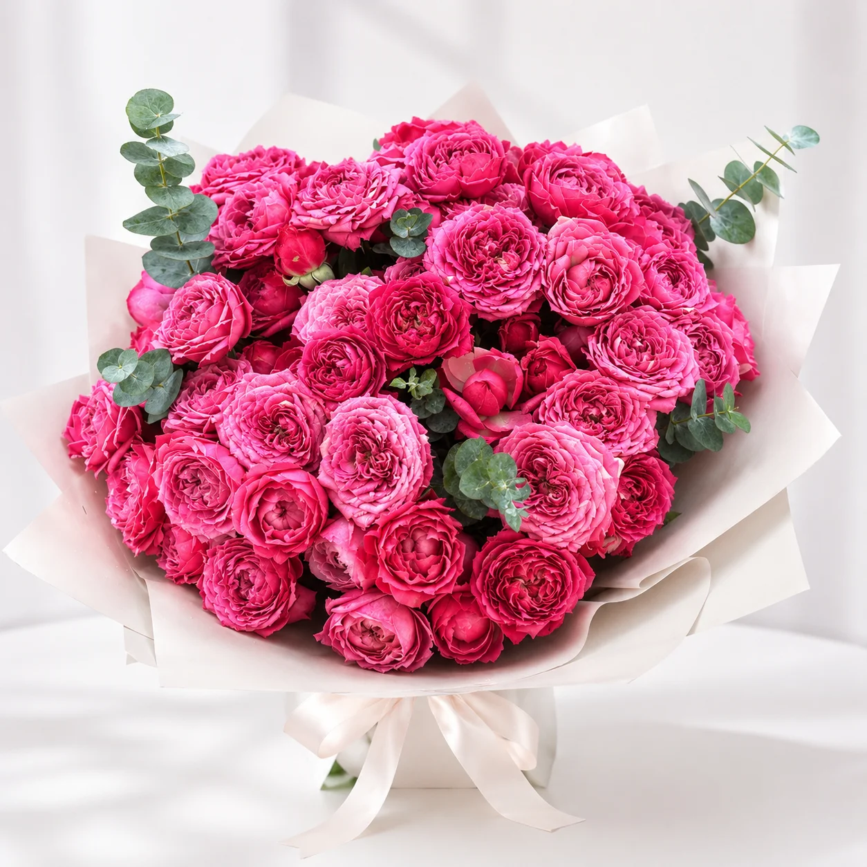 Blush Peony Elegance 21 Pink Peony Roses-2